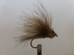 Size 16 A&M Natural CDC